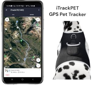 NEW GPS GSM Pet Tracker Rechargeable Water Resistant Tracking Device Size:L
