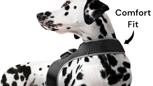 Mini Realtime GPS Collar Pet Tracker Wireless Exact GSM GPRS Tracking Size:L